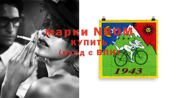 индика Няндома