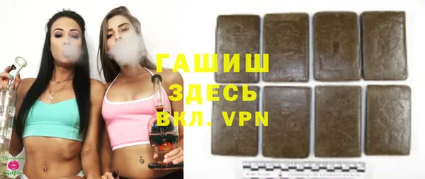 индика Няндома