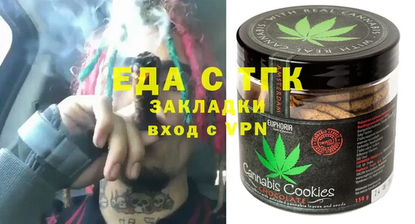 индика Няндома