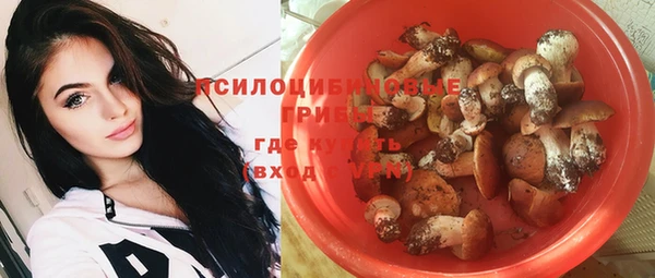 гидропоника Осташков